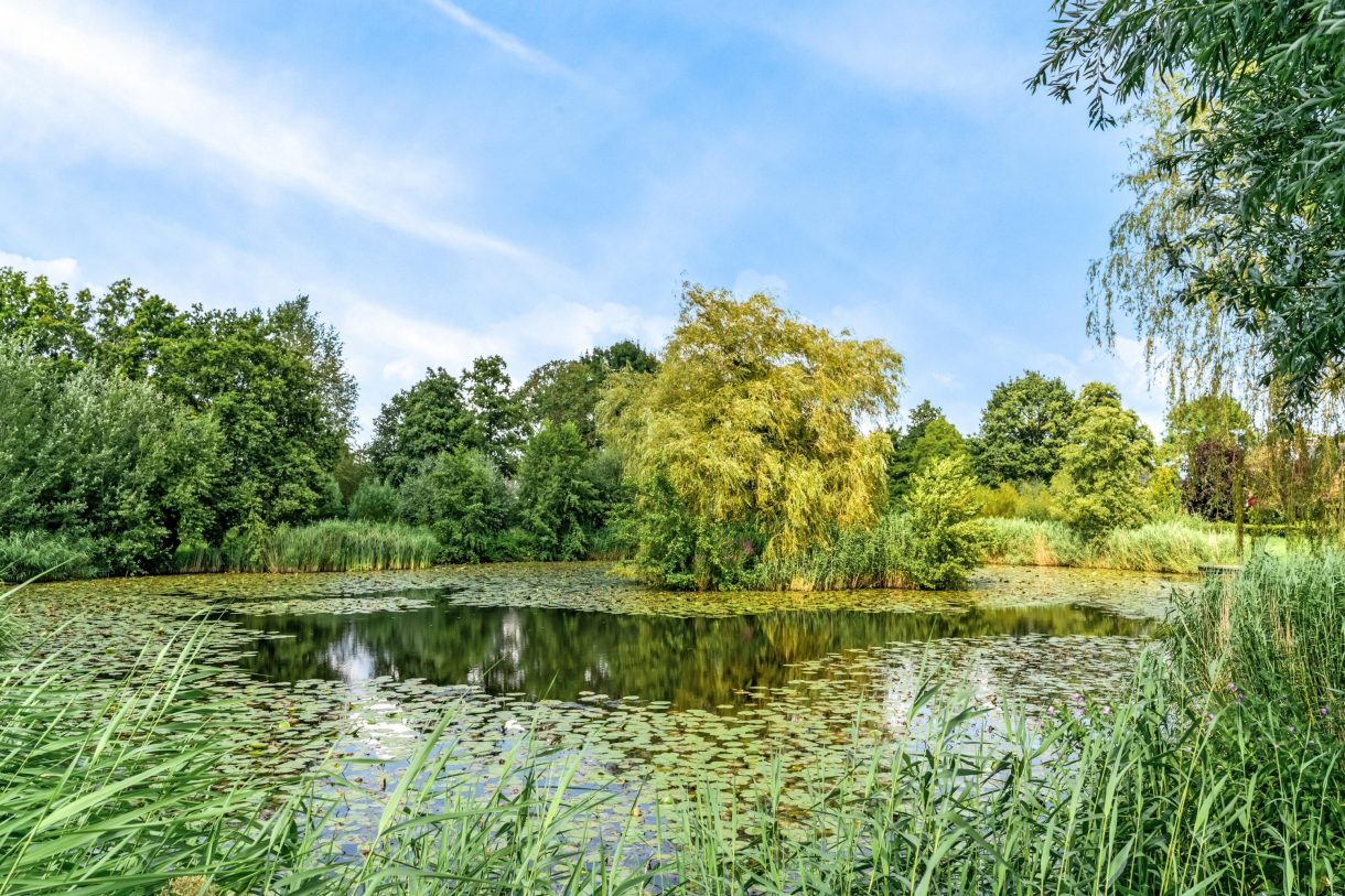 Te koop: Foto Woonhuis aan de Stormvogel 11 in Nieuwegein