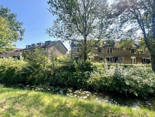 Hoofdfoto van Nieuwegein Petuniahof 9