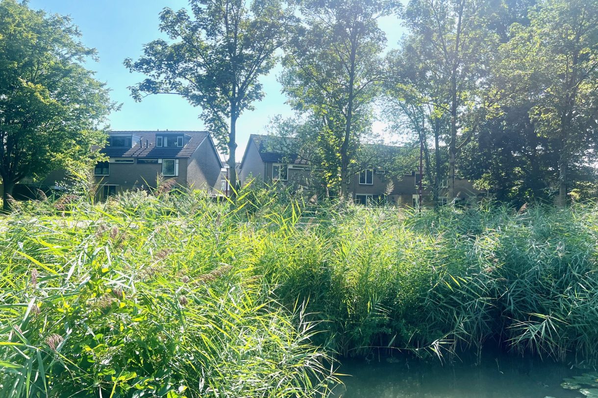 Te koop: Foto Woonhuis aan de Petuniahof 9 in Nieuwegein