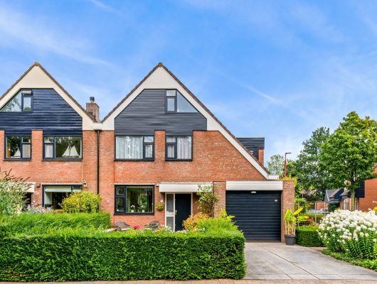 Hoofdfoto van Nieuwegein Waterhoen 1