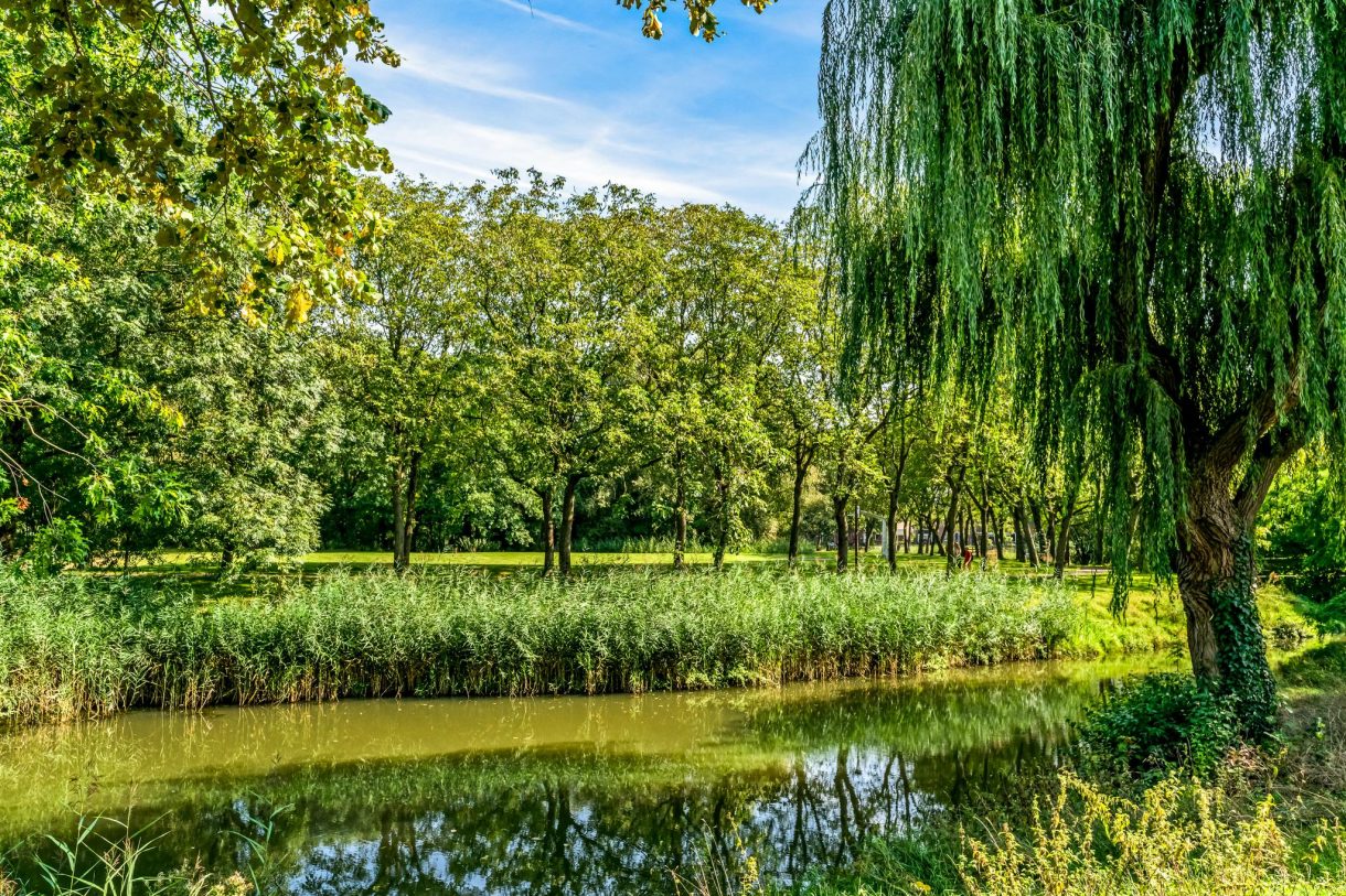 Te koop: Foto Appartement aan de Ringfazant 89 in Nieuwegein