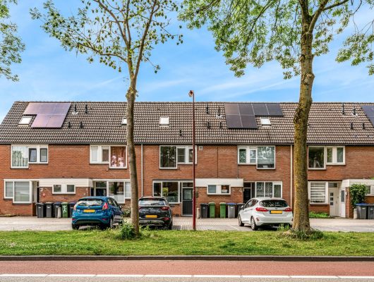 Hoofdfoto van Nieuwegein Kruisbesgaarde 3